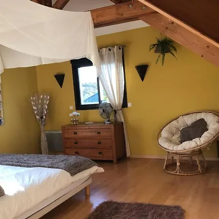 Pau 250m2 Piscine Et Jacuzzy. Gelos