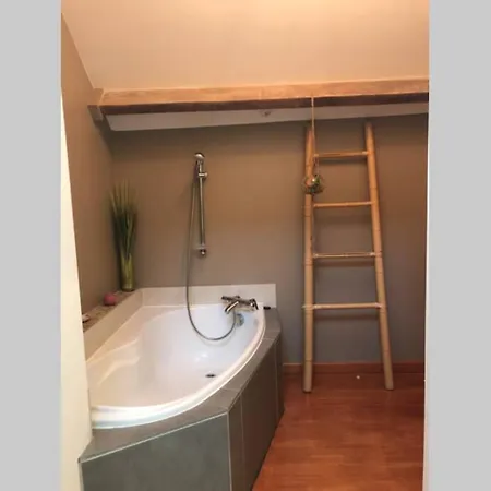빌라 Pau 250m2 Piscine Et Jacuzzy. Gelos